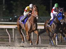 ����å��ǳ��������ɽ�����ޤ�