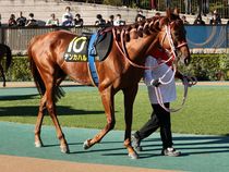 ����å��ǳ��������ɽ�����ޤ�