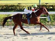 ����å��ǳ��������ɽ�����ޤ�