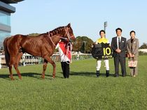 ����å��ǳ��������ɽ�����ޤ�