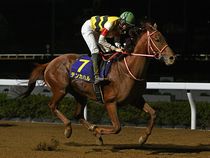 ����å��ǳ��������ɽ�����ޤ�