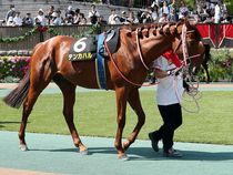 ����å��ǳ��������ɽ�����ޤ�