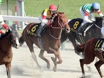 ����å��ǳ��������ɽ�����ޤ�