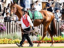 ����å��ǳ��������ɽ�����ޤ�