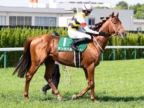 ����å��ǳ��������ɽ�����ޤ�