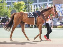 ����å��ǳ��������ɽ�����ޤ�