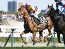 ����å��ǳ��������ɽ�����ޤ�