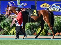 ����å��ǳ��������ɽ�����ޤ�