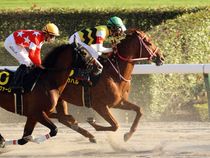 ����å��ǳ��������ɽ�����ޤ�