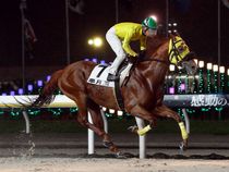 ����å��ǳ��������ɽ�����ޤ�