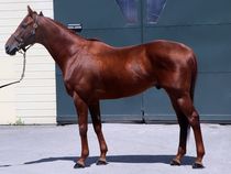 ����å��ǳ��������ɽ�����ޤ�