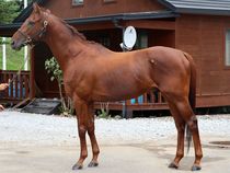 ����å��ǳ��������ɽ�����ޤ�