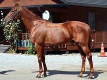 ����å��ǳ��������ɽ�����ޤ�