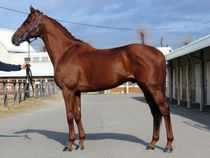 ����å��ǳ��������ɽ�����ޤ�