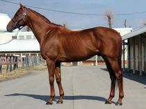 ����å��ǳ��������ɽ�����ޤ�