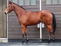 ����å��ǳ��������ɽ�����ޤ�