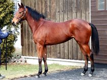 ����å��ǳ��������ɽ�����ޤ�