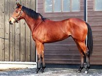 ����å��ǳ��������ɽ�����ޤ�