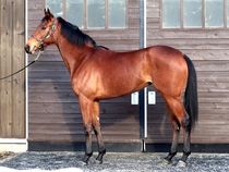 ����å��ǳ��������ɽ�����ޤ�