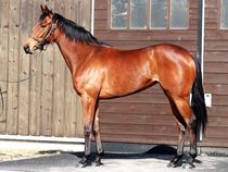 ����å��ǳ��������ɽ�����ޤ�