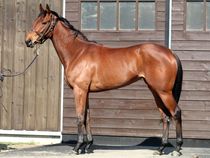 ����å��ǳ��������ɽ�����ޤ�