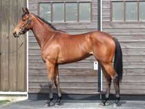 ����å��ǳ��������ɽ�����ޤ�