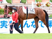 ����å��ǳ��������ɽ�����ޤ�