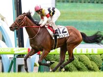 ����å��ǳ��������ɽ�����ޤ�