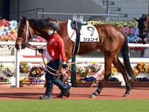 ����å��ǳ��������ɽ�����ޤ�