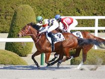 ����å��ǳ��������ɽ�����ޤ�