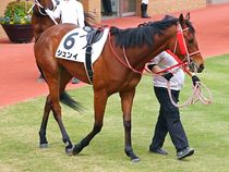 ����å��ǳ��������ɽ�����ޤ�