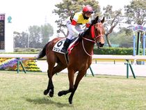 ����å��ǳ��������ɽ�����ޤ�