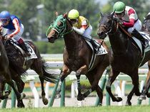 ����å��ǳ��������ɽ�����ޤ�