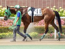 ����å��ǳ��������ɽ�����ޤ�