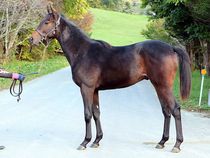 ����å��ǳ��������ɽ�����ޤ�