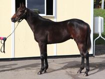 ����å��ǳ��������ɽ�����ޤ�