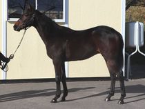 ����å��ǳ��������ɽ�����ޤ�