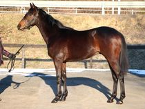 ����å��ǳ��������ɽ�����ޤ�