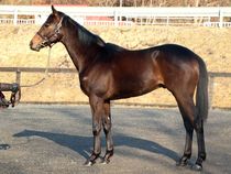 ����å��ǳ��������ɽ�����ޤ�