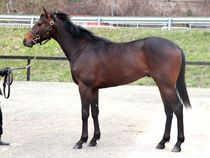 ����å��ǳ��������ɽ�����ޤ�