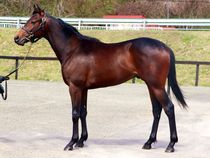 ����å��ǳ��������ɽ�����ޤ�