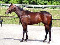 ����å��ǳ��������ɽ�����ޤ�