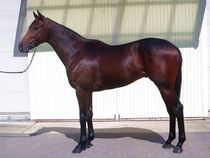 ����å��ǳ��������ɽ�����ޤ�