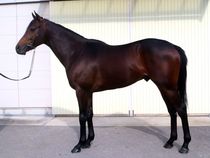 ����å��ǳ��������ɽ�����ޤ�