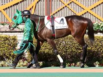 ����å��ǳ��������ɽ�����ޤ�