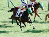 ����å��ǳ��������ɽ�����ޤ�