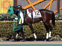 ����å��ǳ��������ɽ�����ޤ�