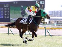 ����å��ǳ��������ɽ�����ޤ�