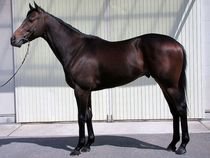 ����å��ǳ��������ɽ�����ޤ�