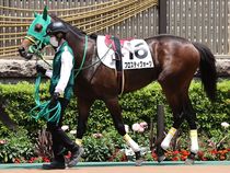 ����å��ǳ��������ɽ�����ޤ�